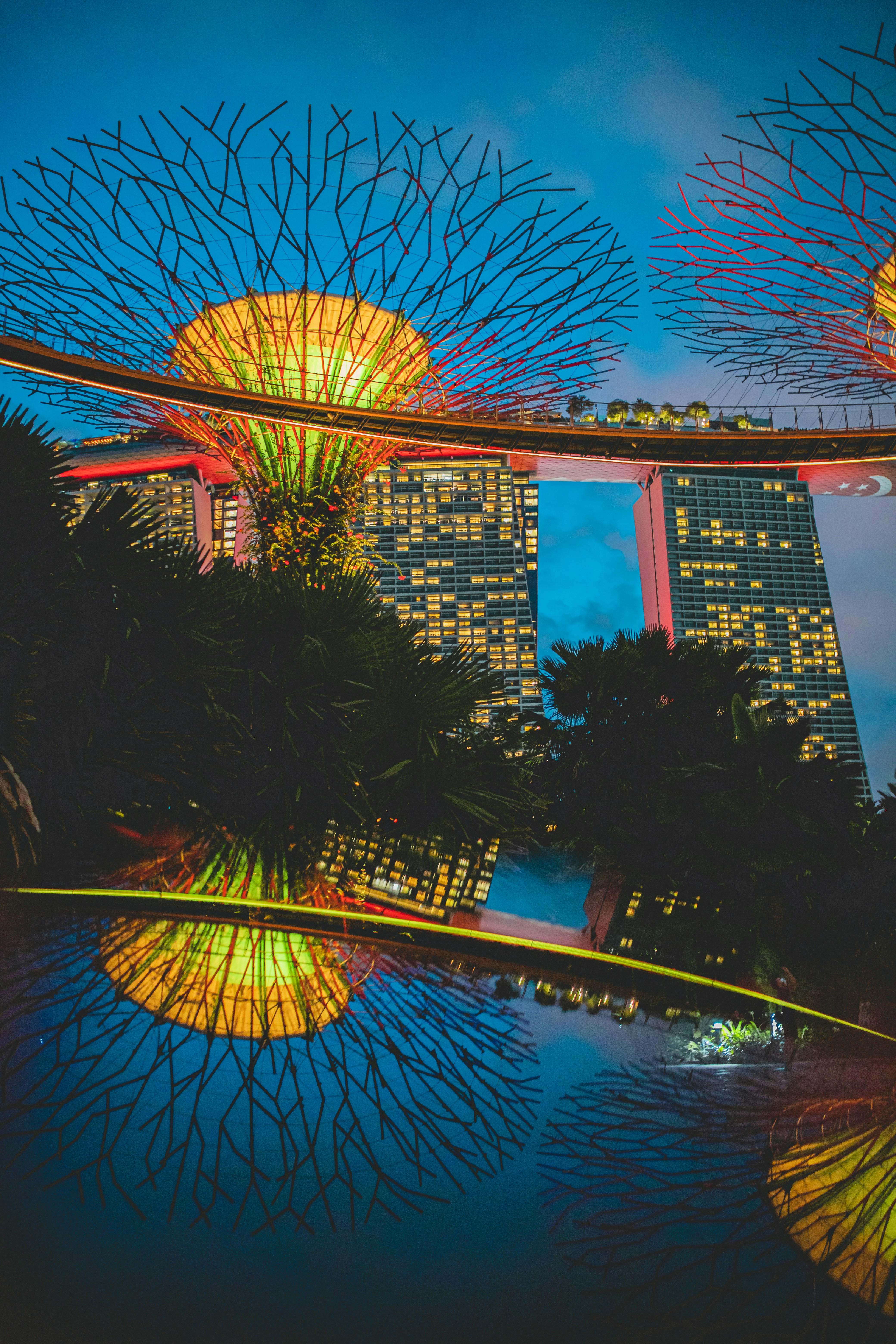 Illuminated Supertrees and Marina Bay Sands reflected in the water at night